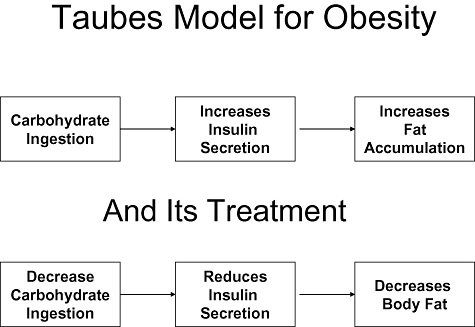 Taubes Model for Obesity And Its Treatment
