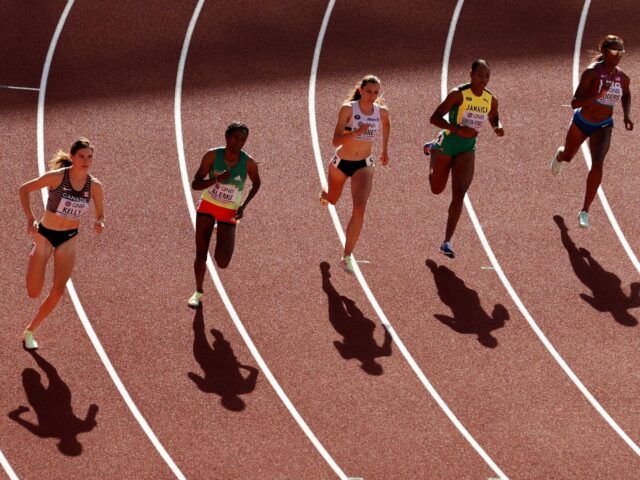 Kurs Trenera Biegania – jaki wybrać i ile kosztuje? Ranking